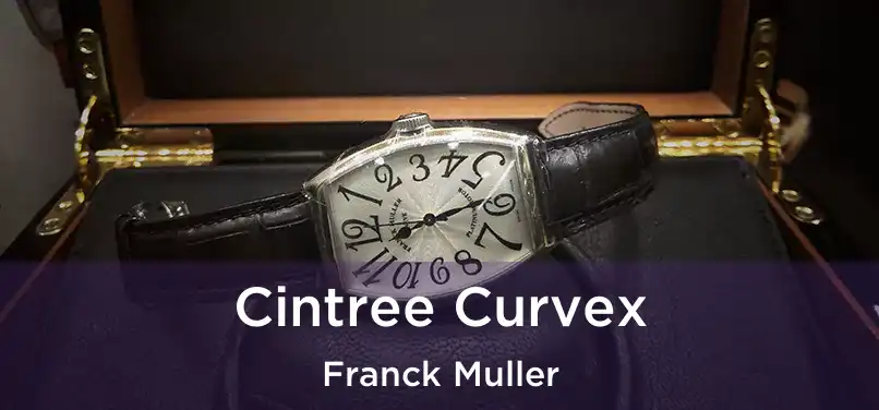  Cintree Curvex Franck Muller