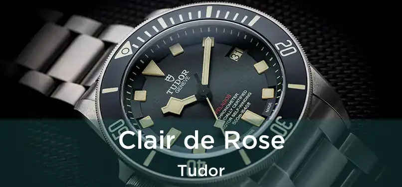  Clair de Rose Tudor