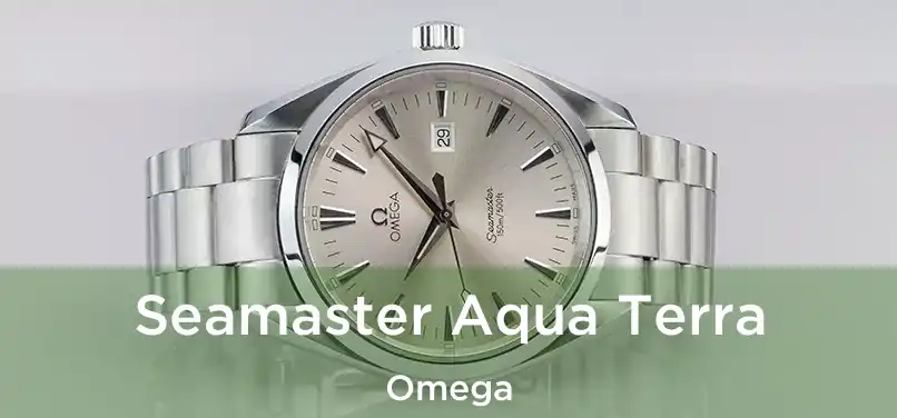  Seamaster Aqua Terra Omega