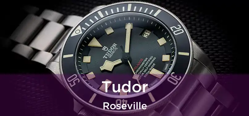  Tudor Roseville