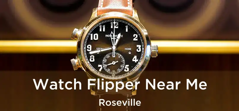  Watch Flipper Near Me Roseville